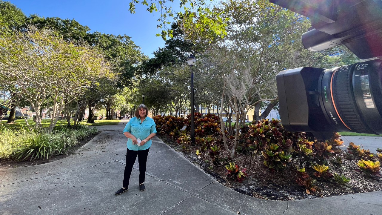 Cathy Harrelson, Chair of St Petersburg Urban Forestry Committee.png