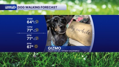 Gizmo