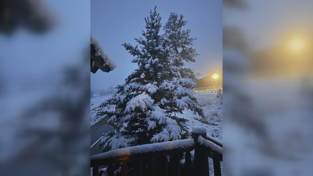 Sarah Murphy Florissant Snow