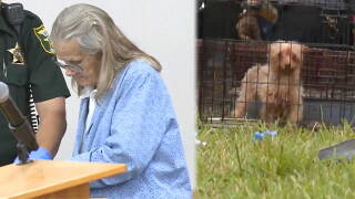 Gail Giustino on Aug. 25, 2026, pleaded no contest in Martin County's worst animal hoarding case and will serve 2 years of probation with no animal contact.