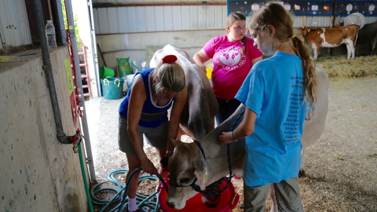 The 174th Waukesha County Fair comes to a close