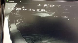 surveillance video shows shooting suspect walk into lakewood tattoo shop.jpg