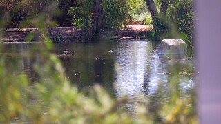 Waste Water Pond