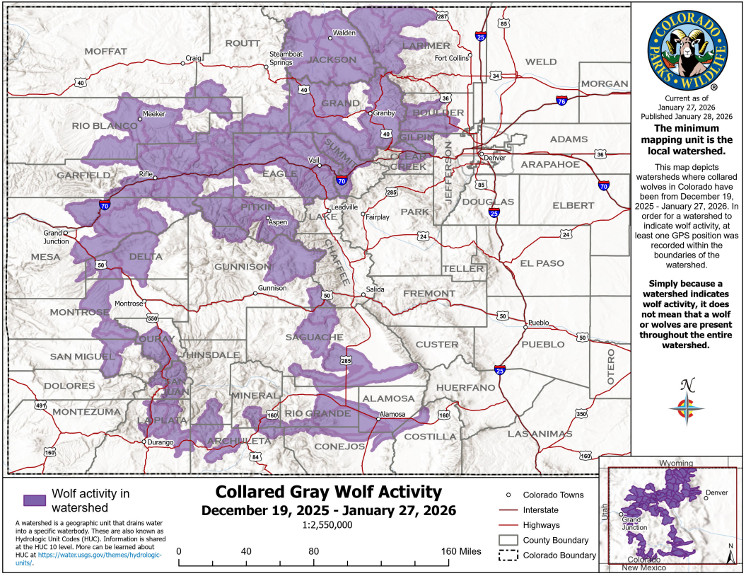 Gray wolf map Dec 19 2025-Jan 27 2026
