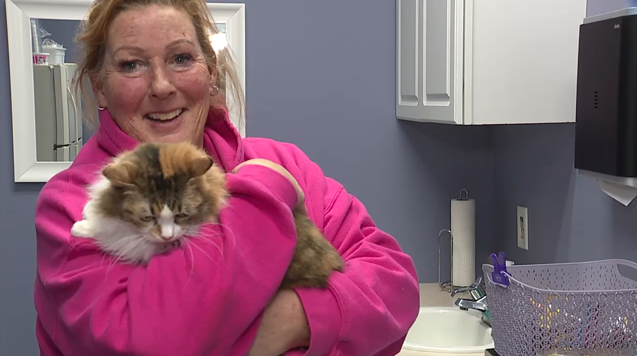 Screenshot 2026-01-26 at 10.37.43 PM.png