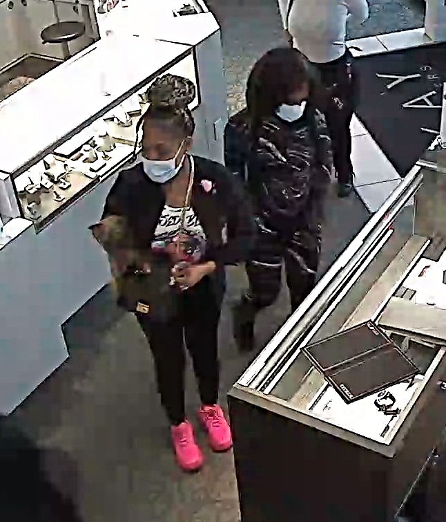 Woman holding Yorkie at Kay Jewelers 03262022.jpg