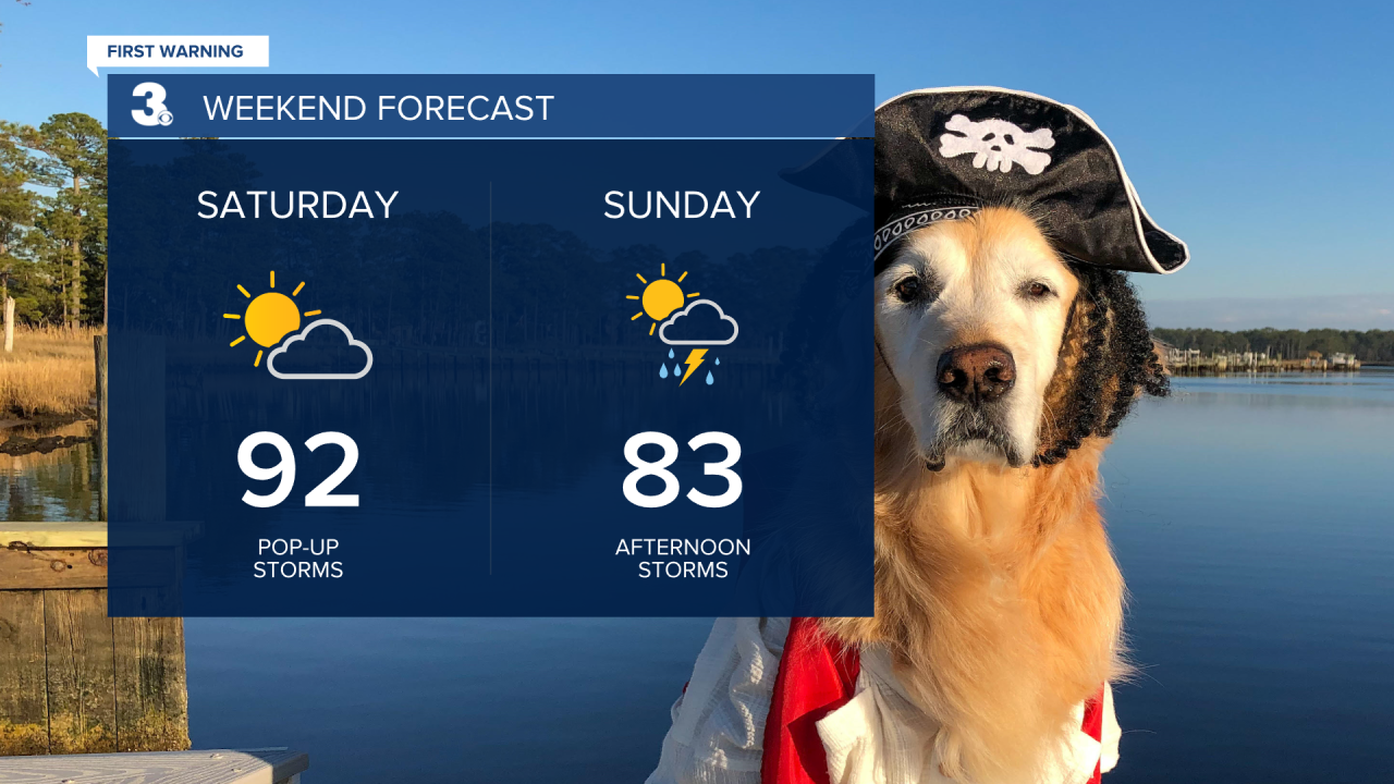 WEEKEND FORECAST.png