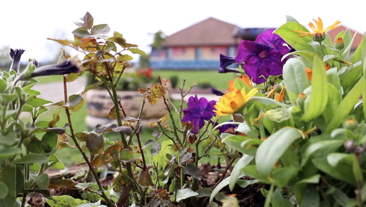 Tampa Bay area non-profit helps Ukrainian refugee families at Romanian orphanage