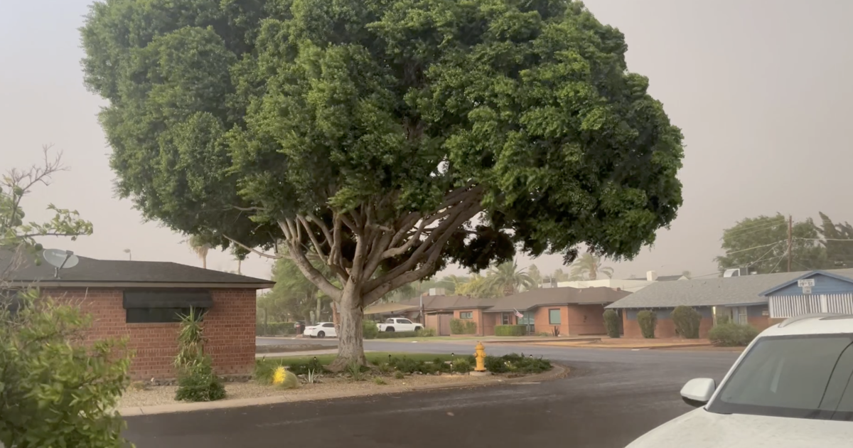 RAINFALL TOTALS: How much rain has fallen around the Valley? July 13, 2026