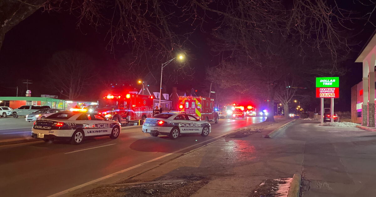 Coroner identifies pedestrian killed after being struck by vehicle in ...