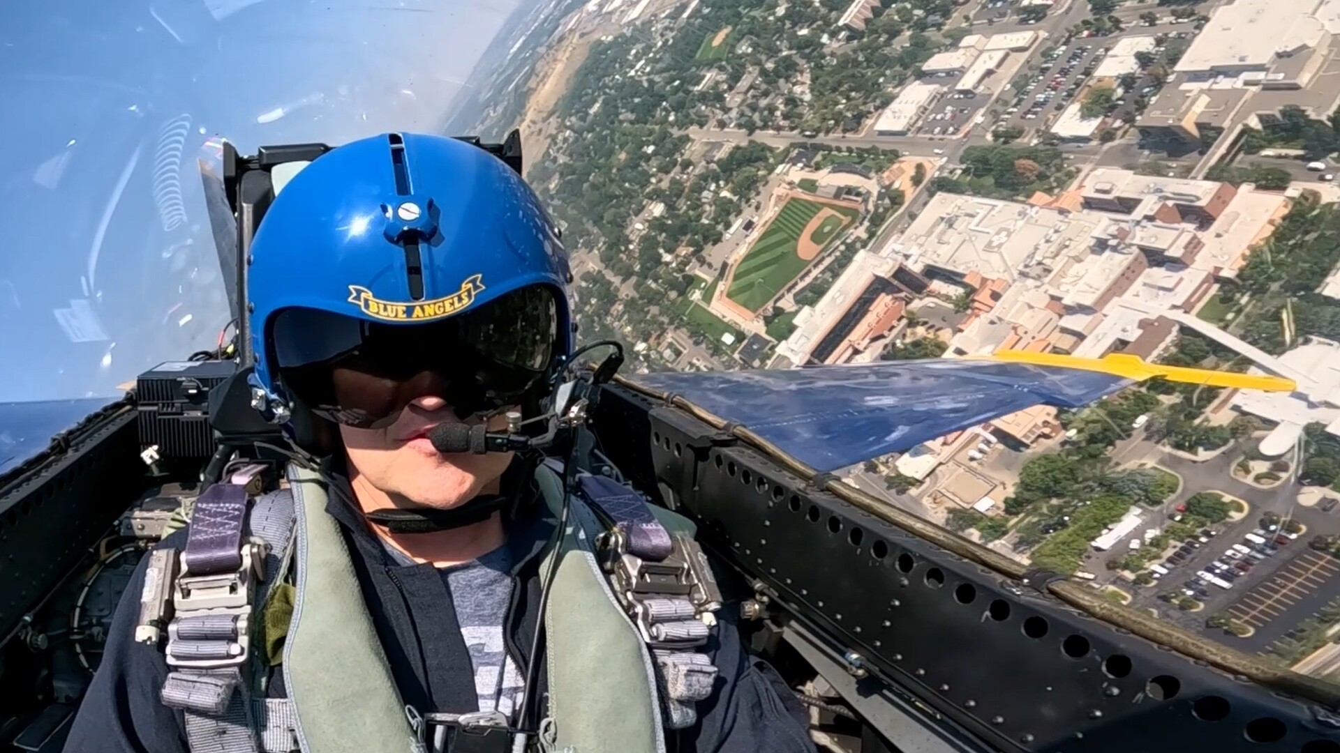 FLY5.jpg
