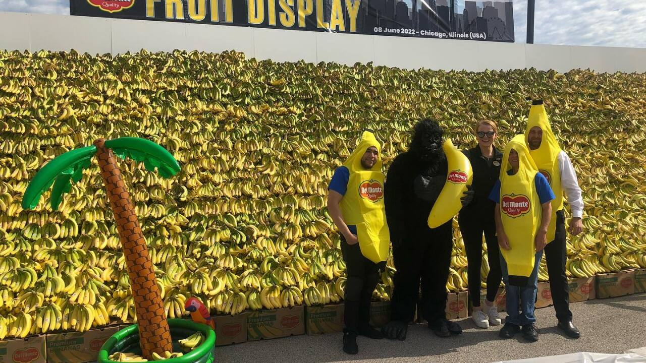 Banana Bonanza