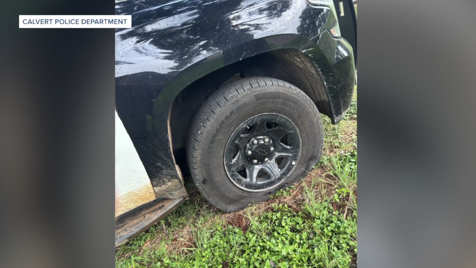 Calvert police ask for public's help after patrol vehicles vandalized overnight