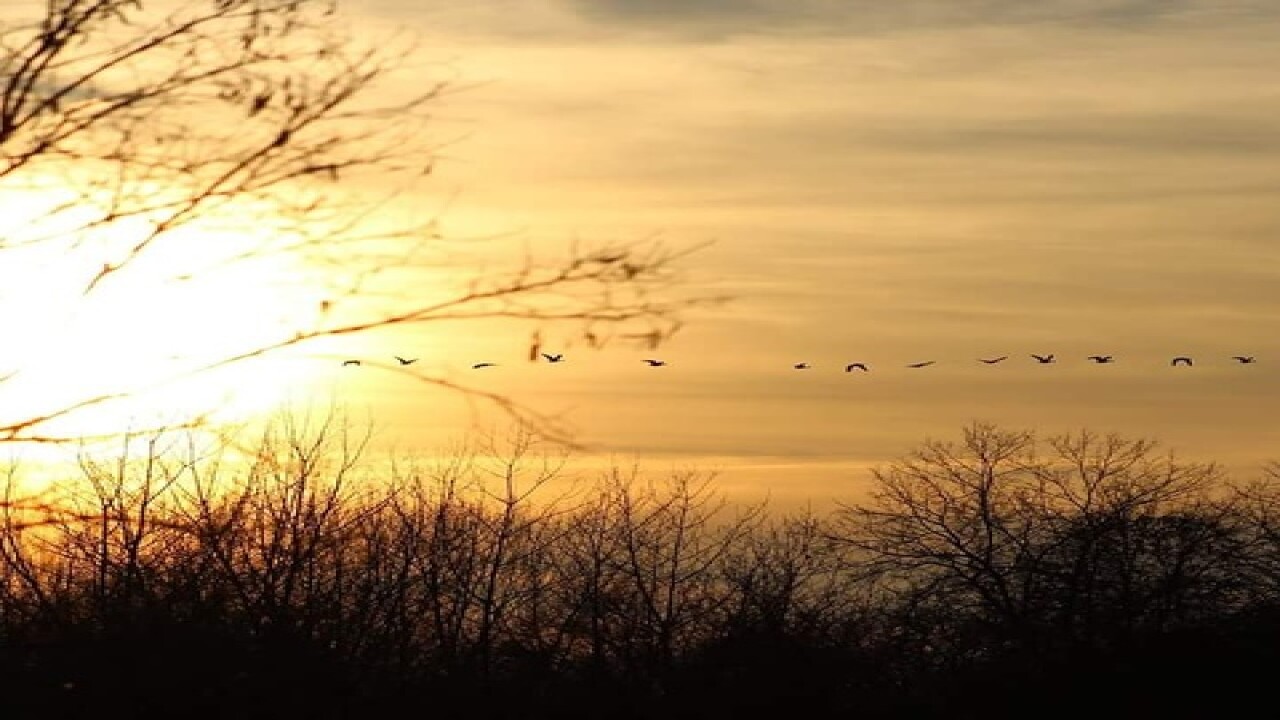 PHOTOS: Harvest time in Indiana