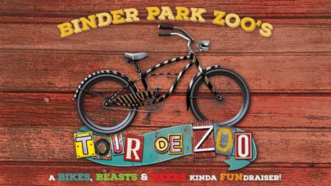 Tour de Zoo