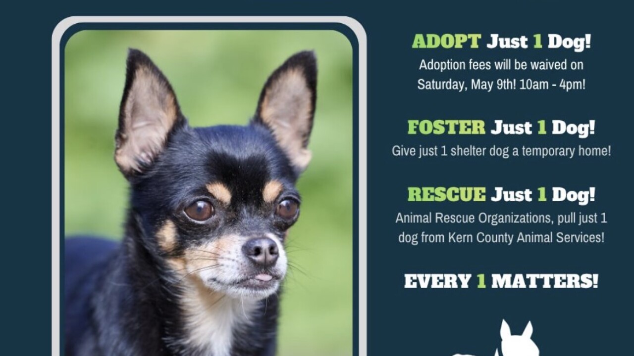 Just 1 Dog Initiative 2026