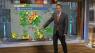 Smoky showers & storms
