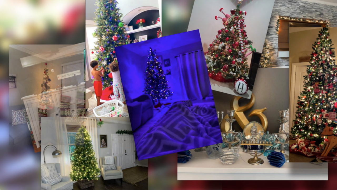 viewer-holiday-decor-tampa.png
