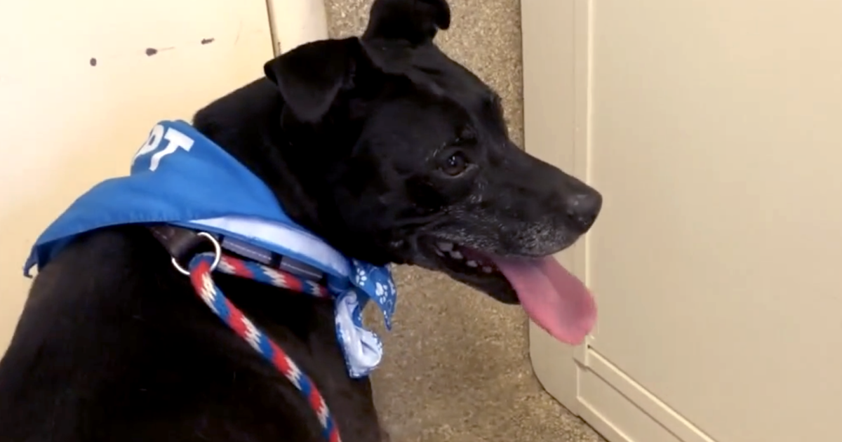 Pet Pals: Meet Magnolia!