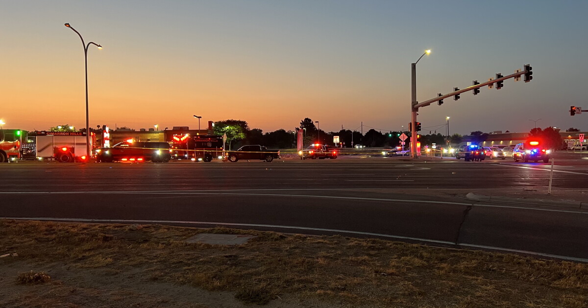 Woman who died after being hit by truck earlier this month identified