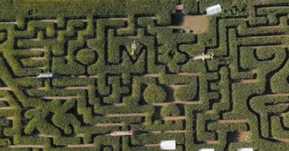 Trips That Make Cents Conquering One of Maryland's Largest Corn Mazes