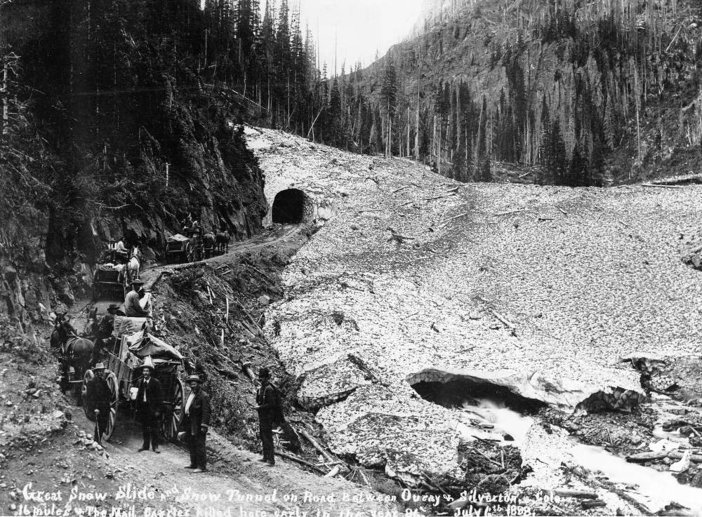 p15330coll22_61922_large (1).jpg