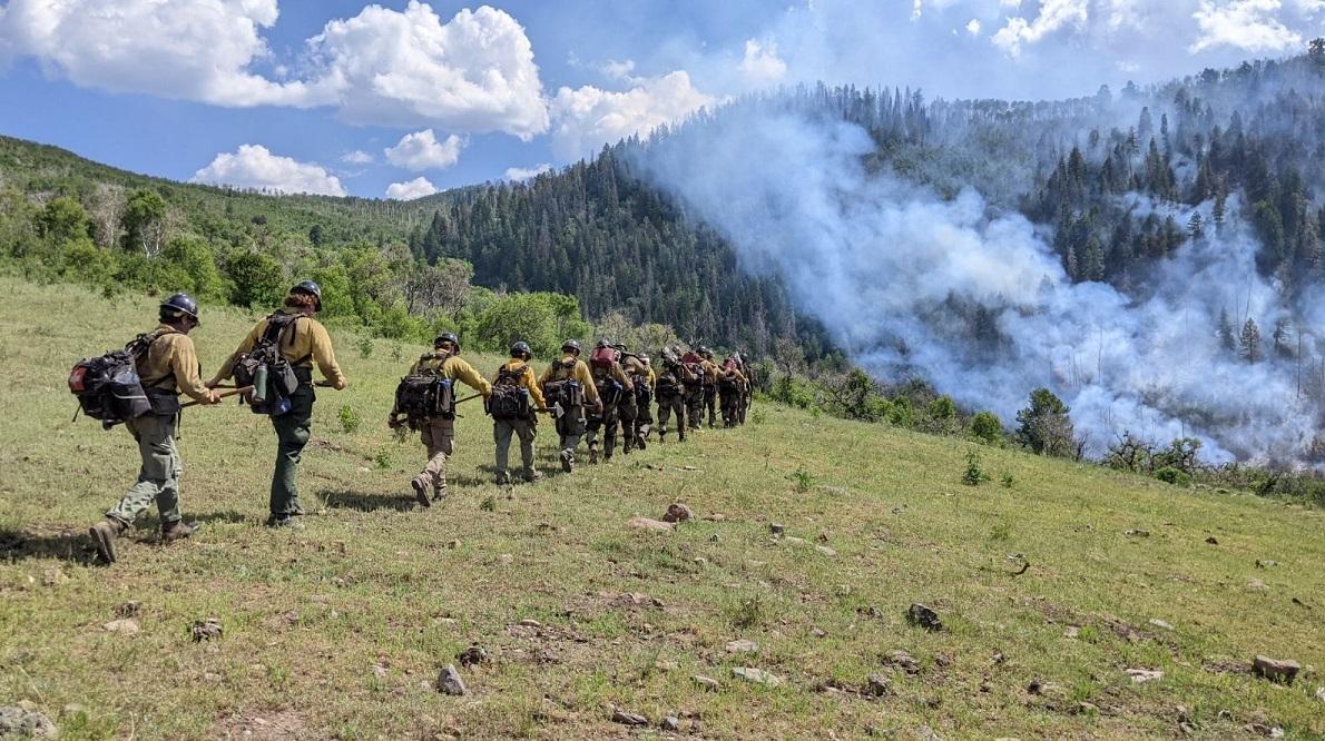 Spring Creek Fire