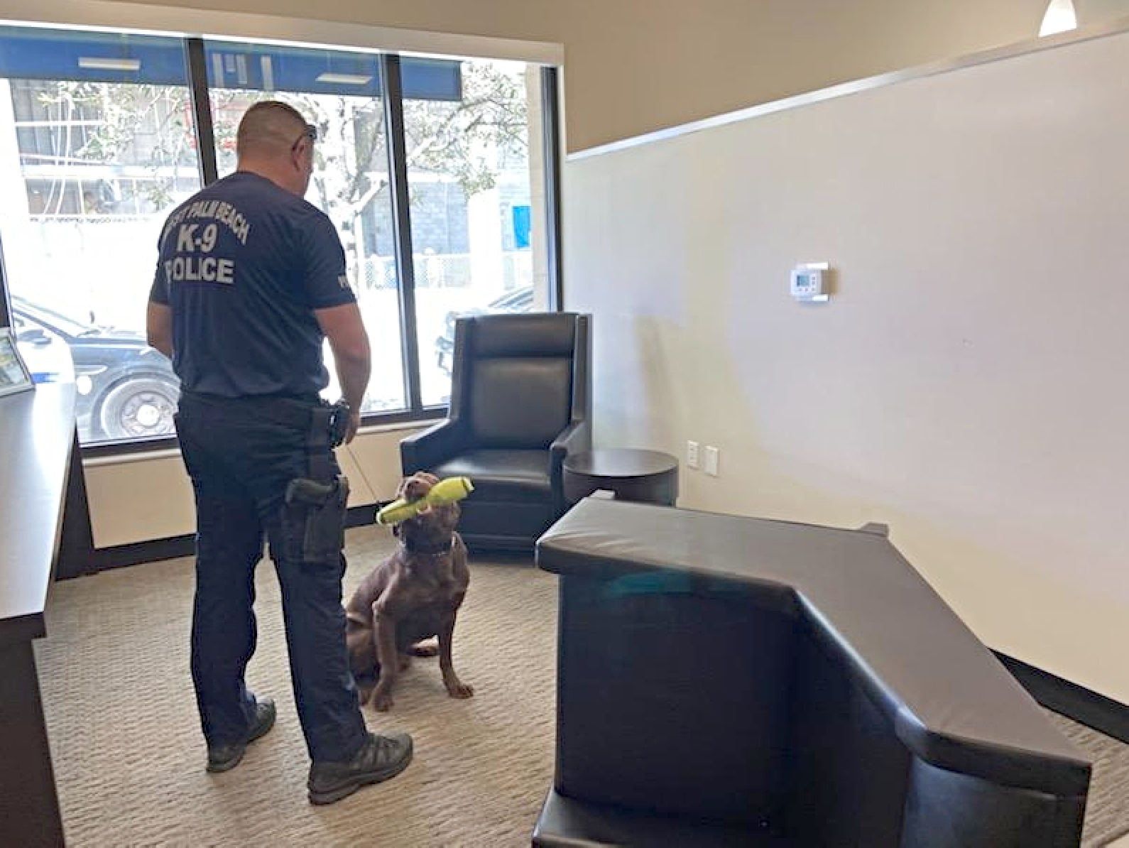 K-9 snuffs West Palm Beach bank robbery suspect who hid stolen money in