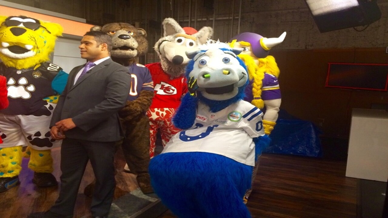 PHOTOS: NFL mascots take over RTV6