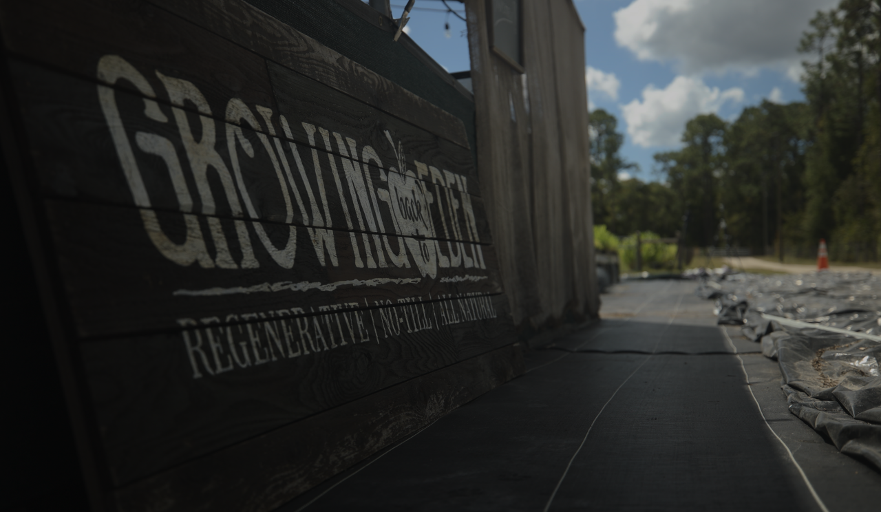 Growing Back to Eden in Citrus County, Florida.