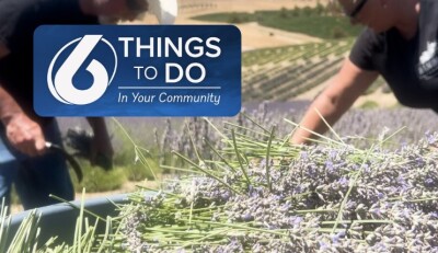 6 Things to do from July 10 to 12, 2026