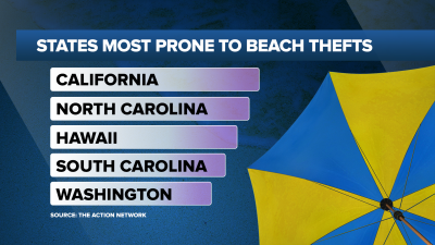 Beach theft