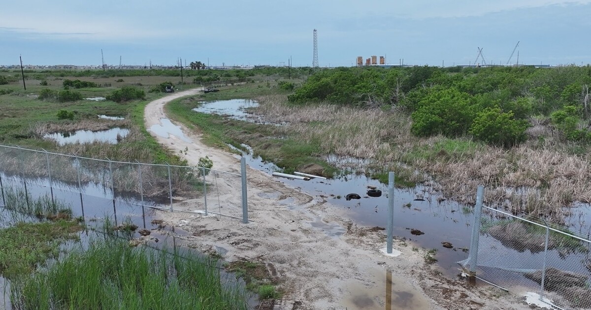 State senator presses Nueces River Authority for answers after KRIS 6 report on desalination funding