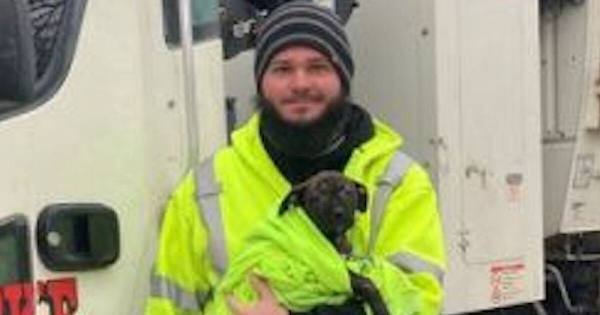 Garbage truck driver adopts puppy abandoned along route