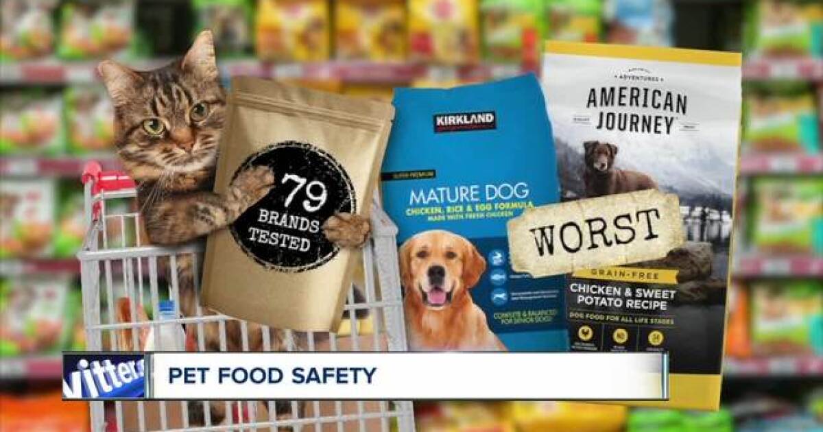 Is Your Pet Food Safe Report Shows Many Contain Toxins Lead