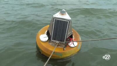 FAMU's solar-powered buoy helps Crawfordville oyster farmers track real-time water quality data