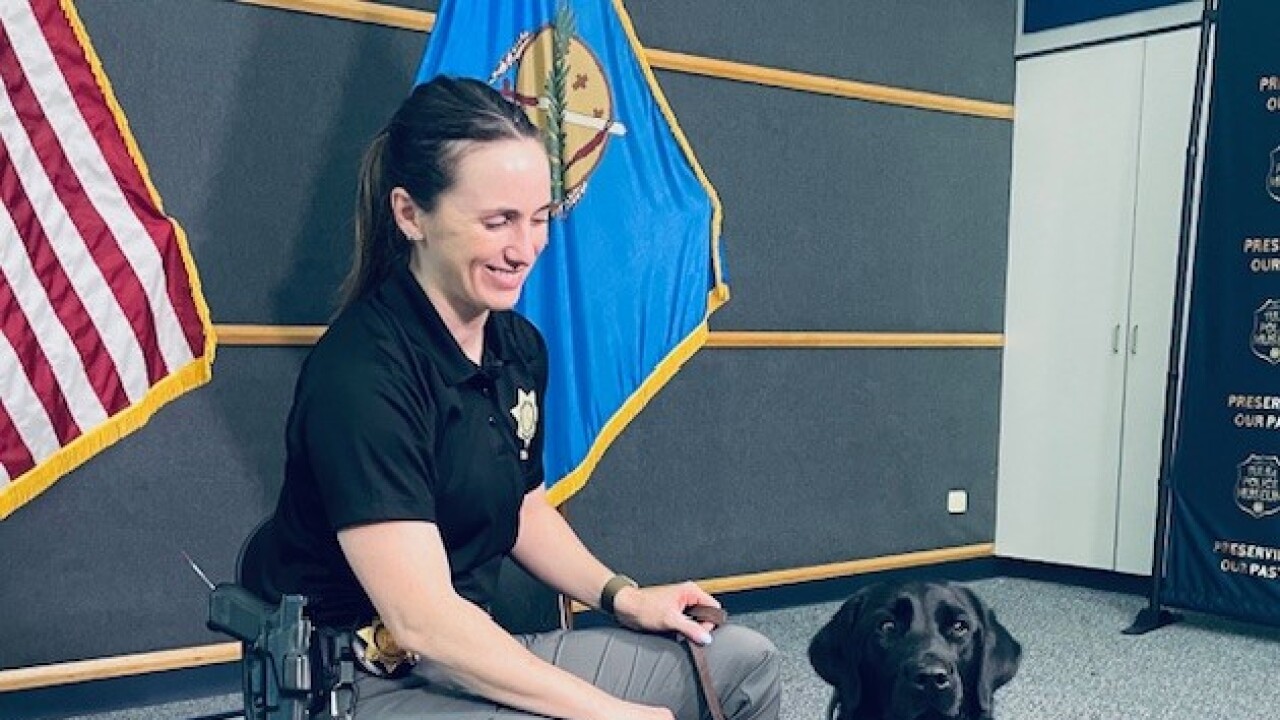 k9.jpg