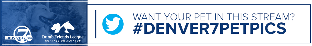 denver7petpicsinline.png