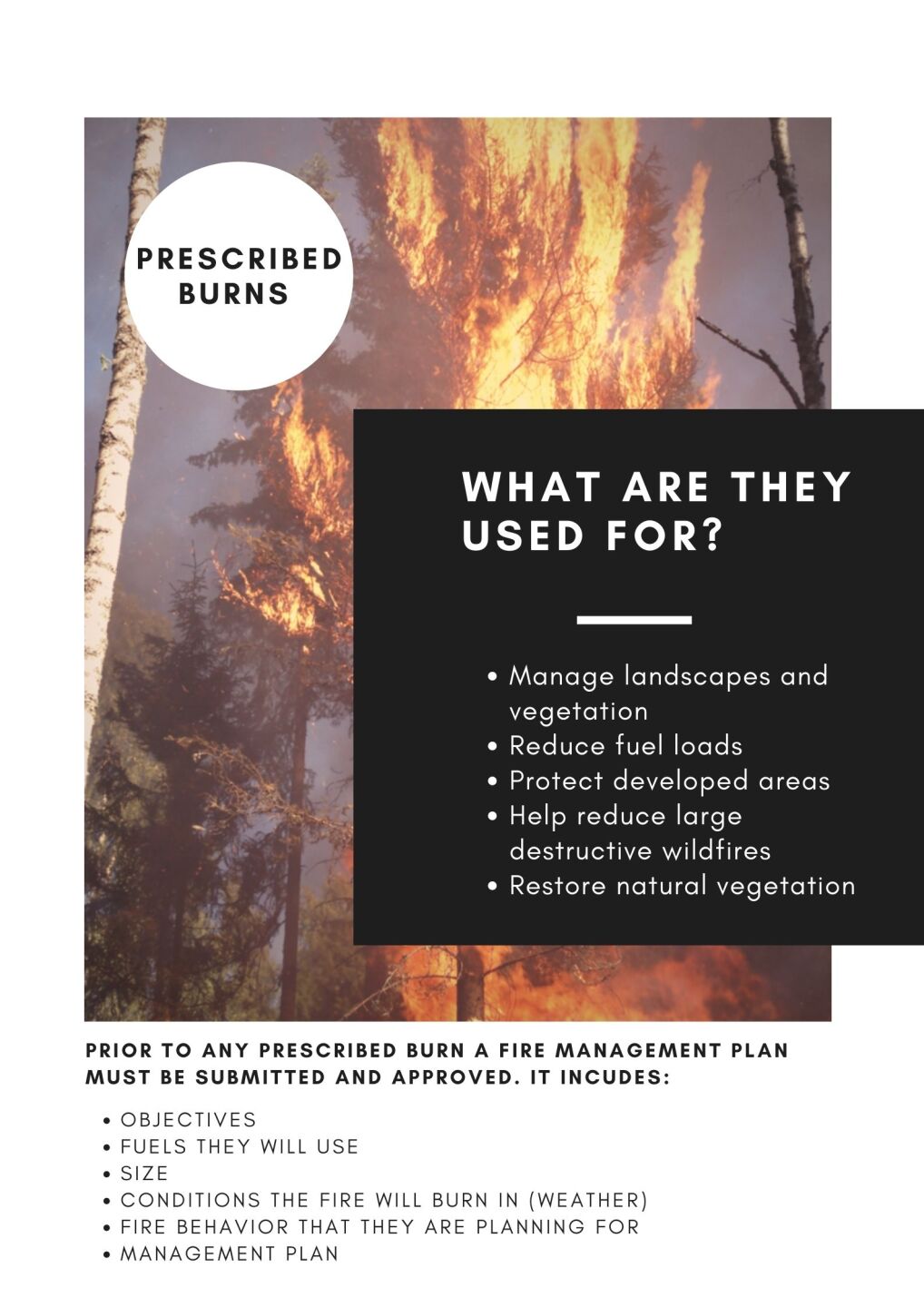 prescribed burns .jpg