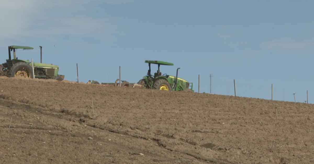 Diesel costs push California farmers to scale back as prices hit record highs amid Iran war