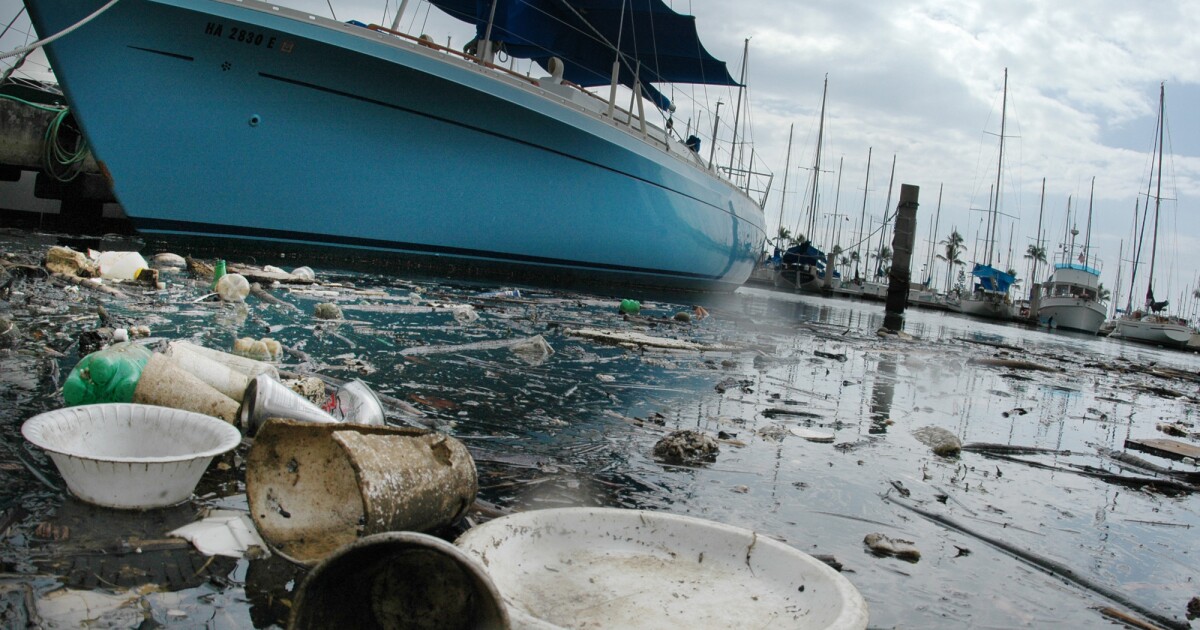 New efforts are pushing to keep more styrofoam out