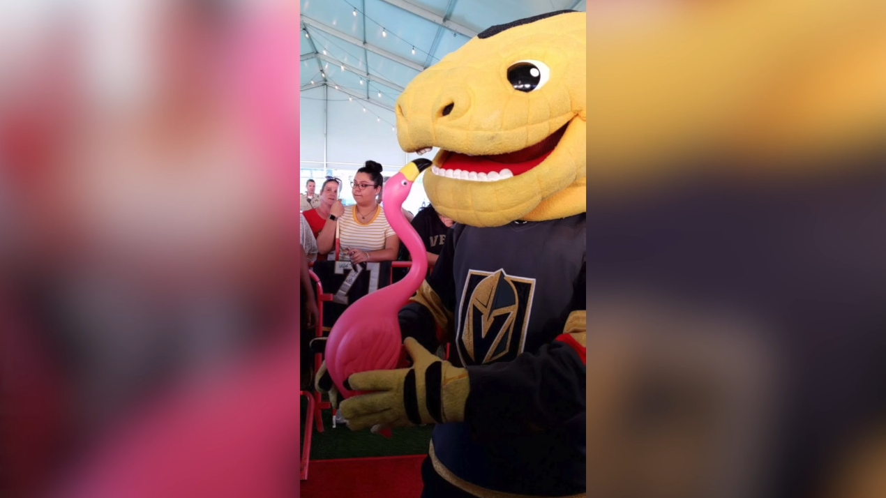 Plastic flamingos now fill the ice rink when the Vegas Golden Knights play, we talk to the fan who started it all.