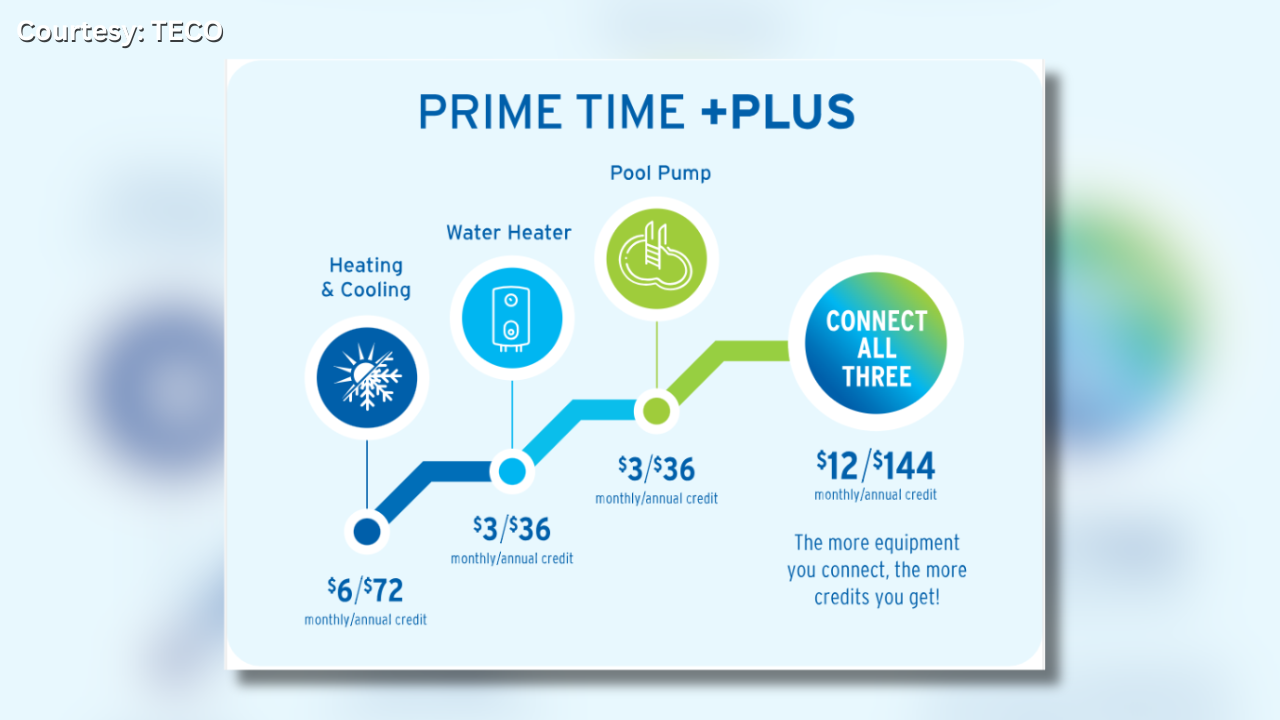 Prime Time Plus