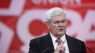 Fox News drops Newt Gingrich
