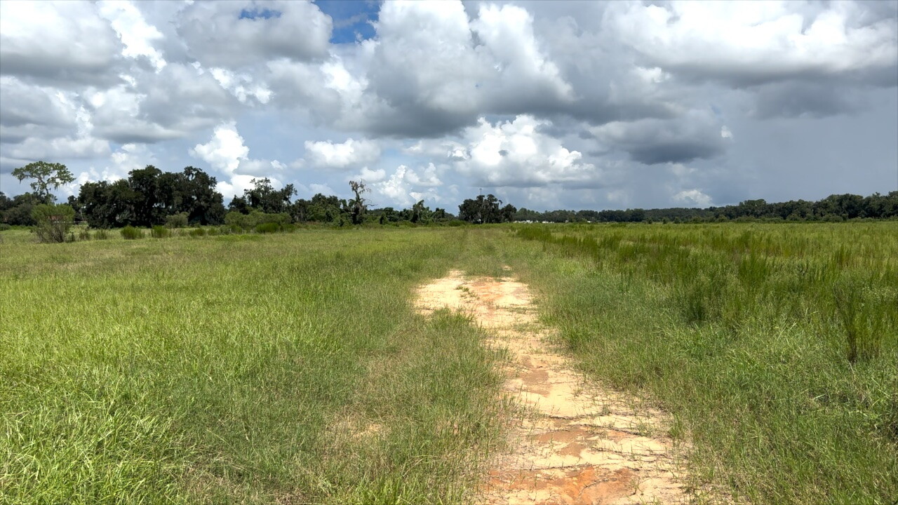 The property is part of the Kathleen drainage basin and sits within a floodplain along Blackwater Creek.