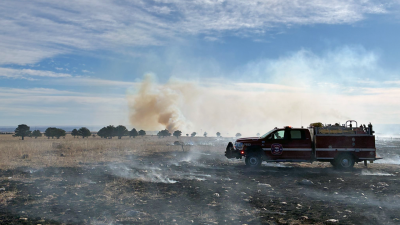grassfire3.png