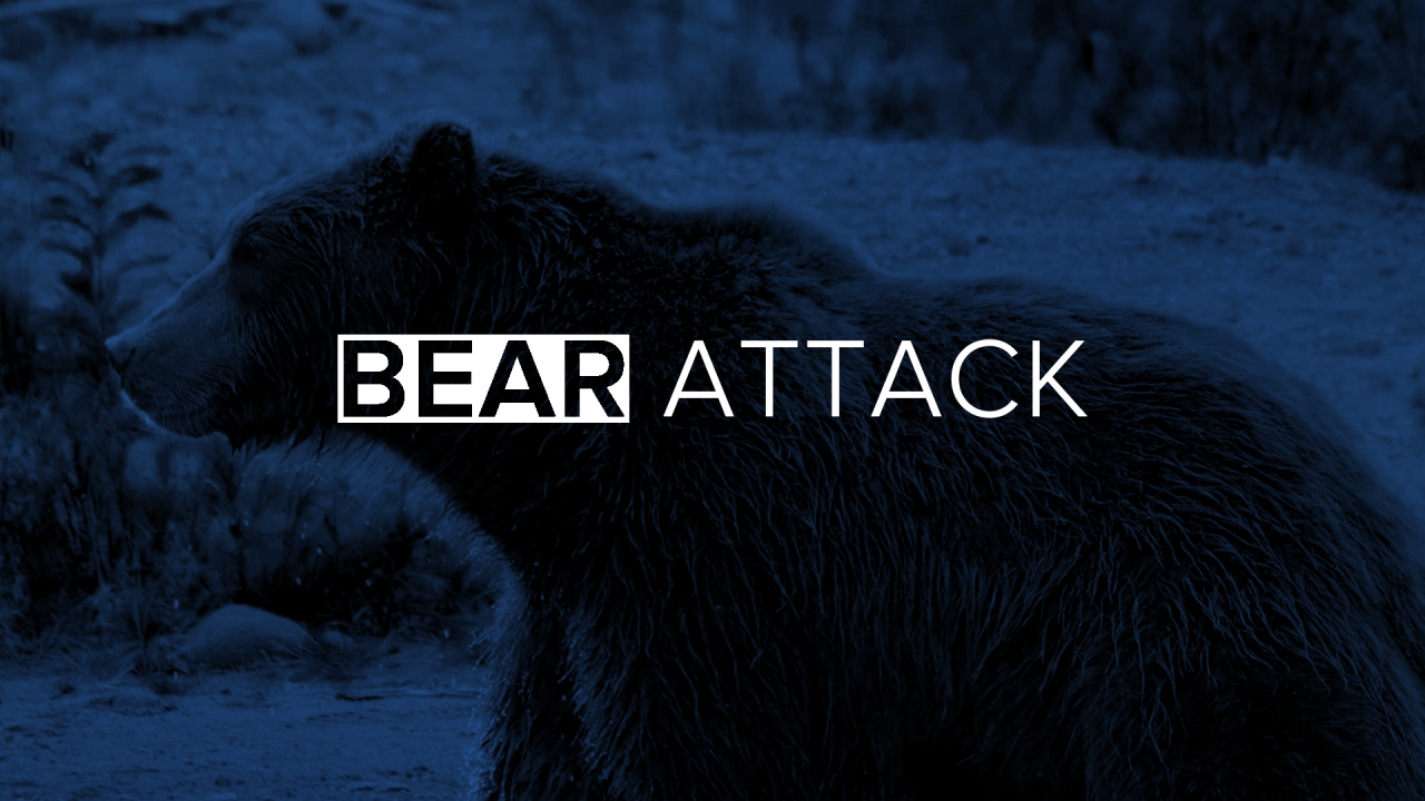 Bear Attack.png