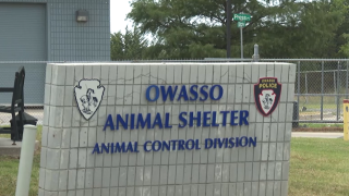Progress at Owasso Animal Shelter following abuse allegations investigation