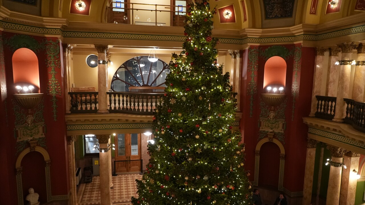 Capitol Christmas Tree