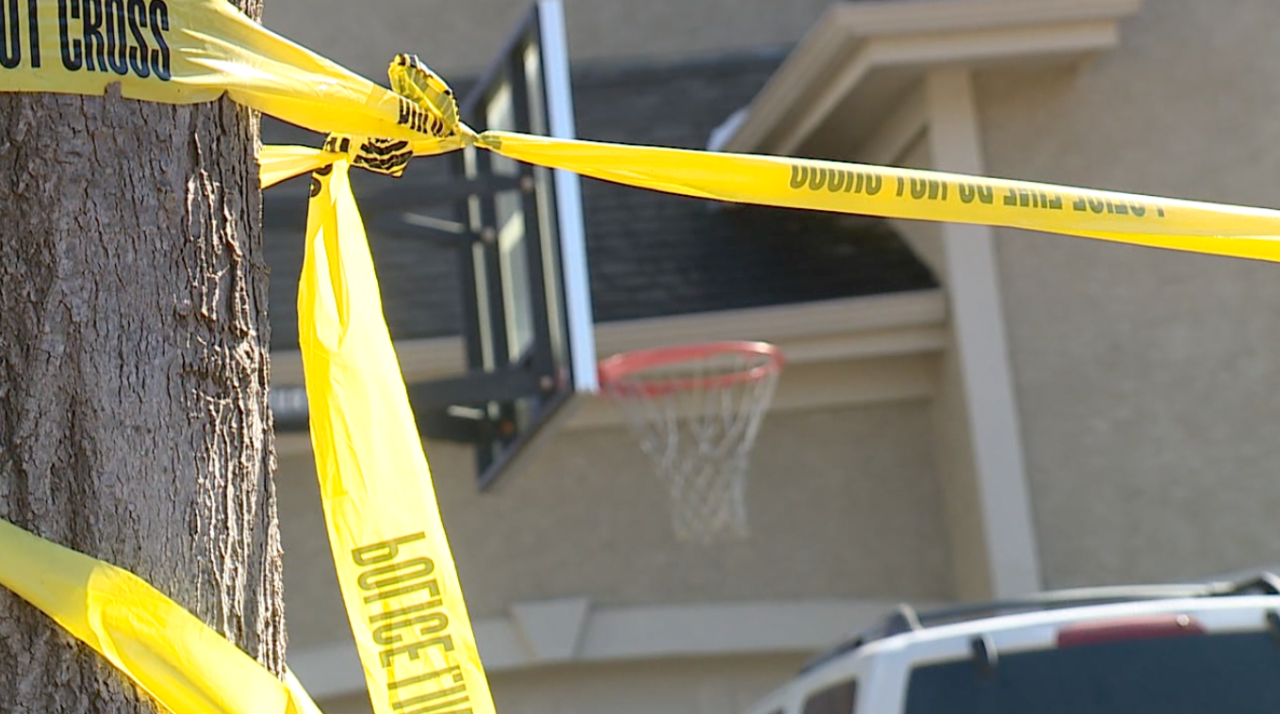 double murder-suicide.png